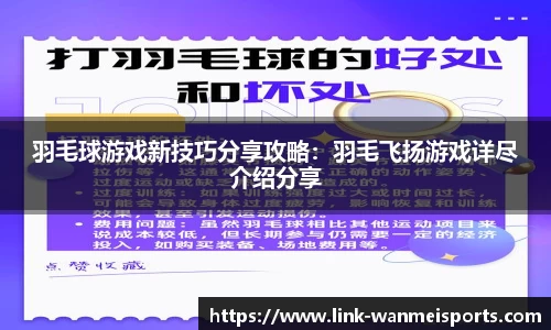 羽毛球游戏新技巧分享攻略：羽毛飞扬游戏详尽介绍分享